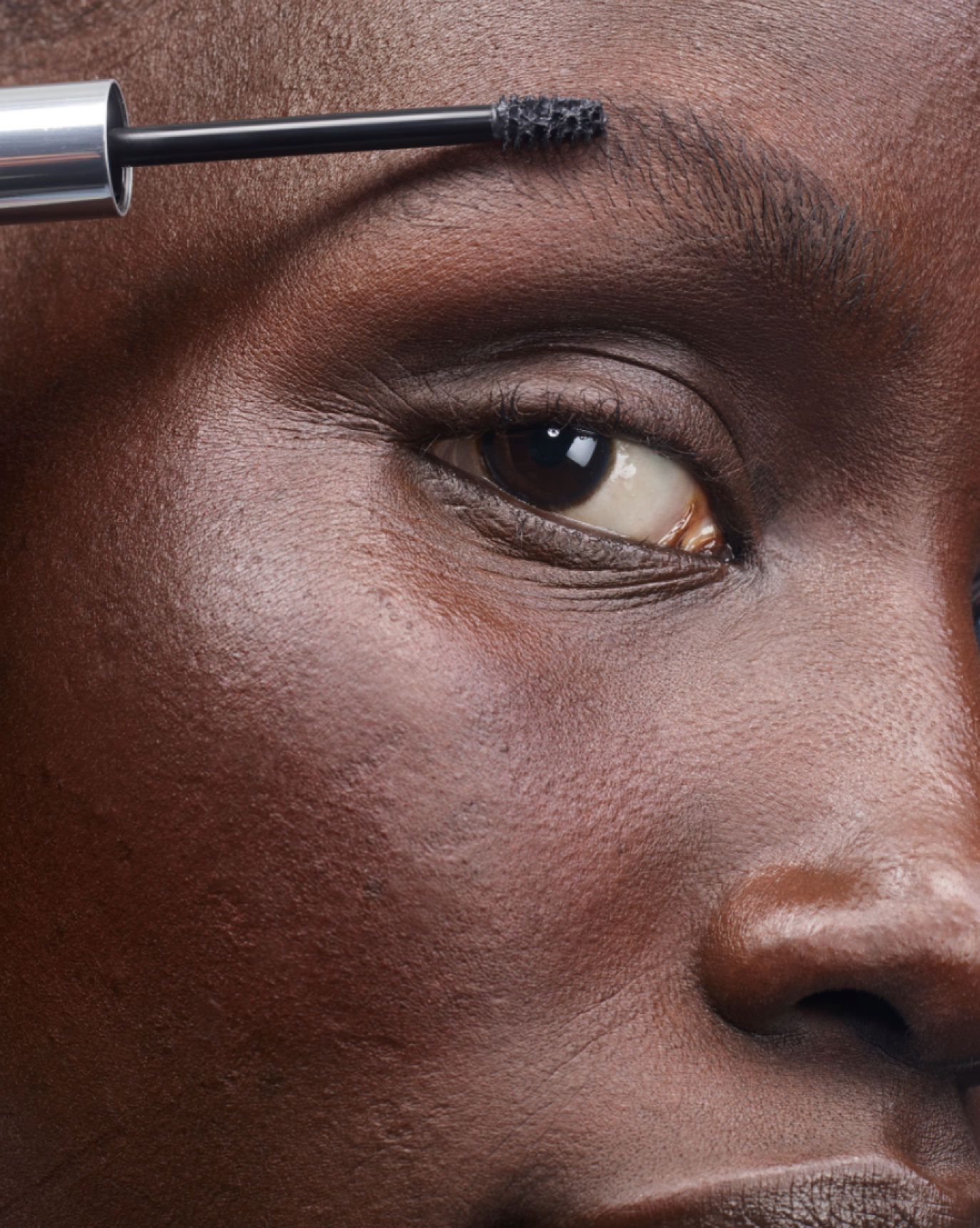 SRC_6B3F8635F65EF19A The Brow Kit